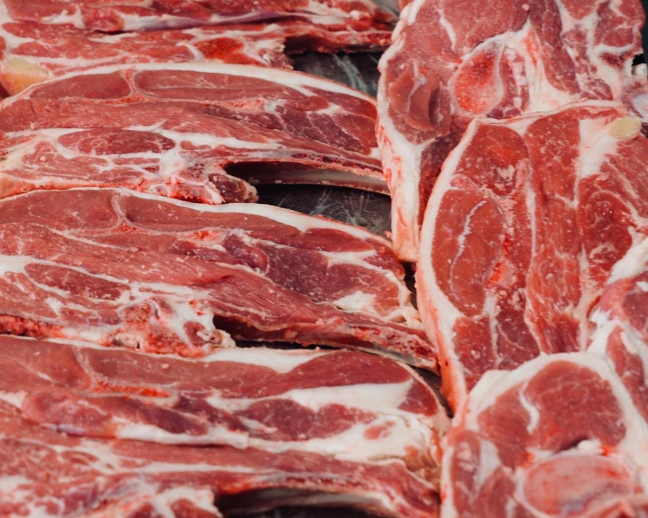 WhatsApp Image 2026-04-09 at 6.58.33 PM